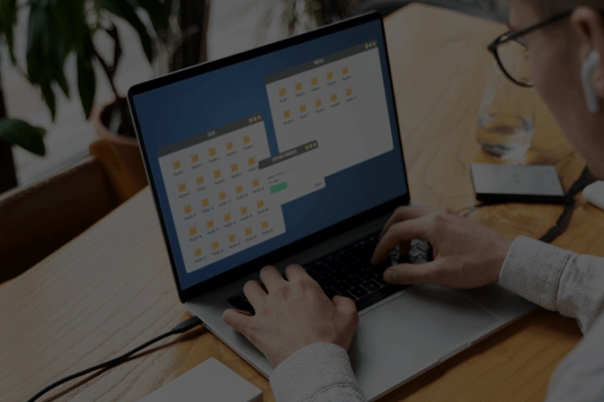 AnySecura protect  sensitive files